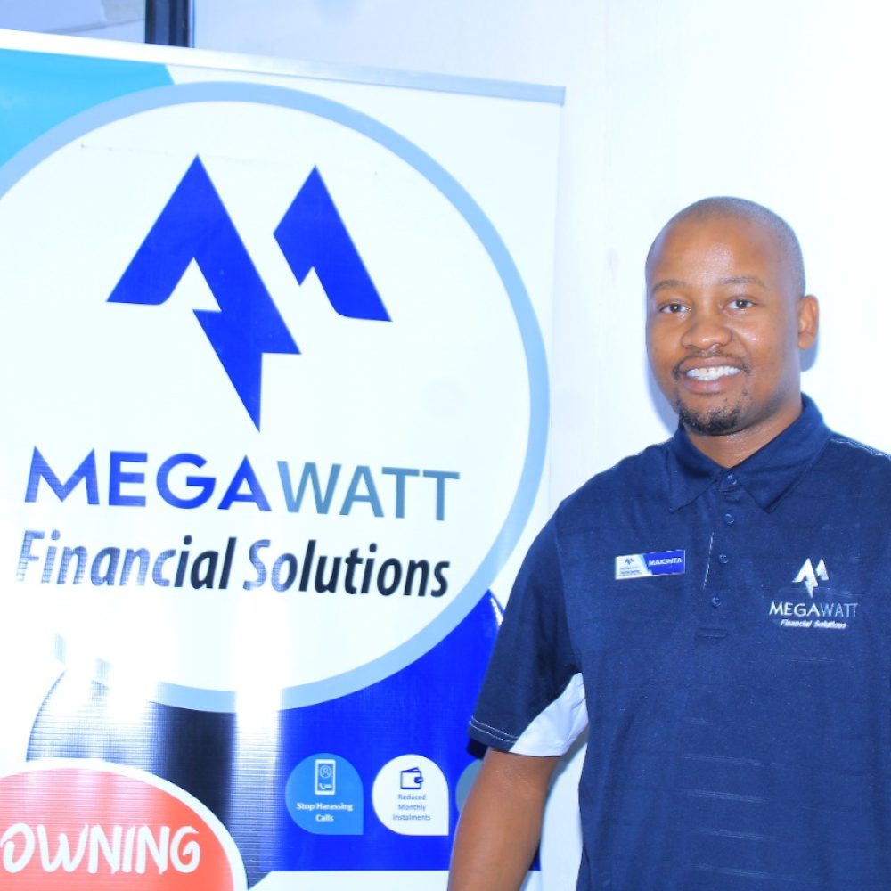 CEO- Megawatt fin