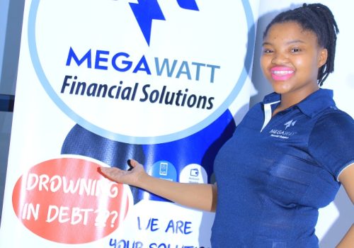Sales Rep - Megawatt Fin